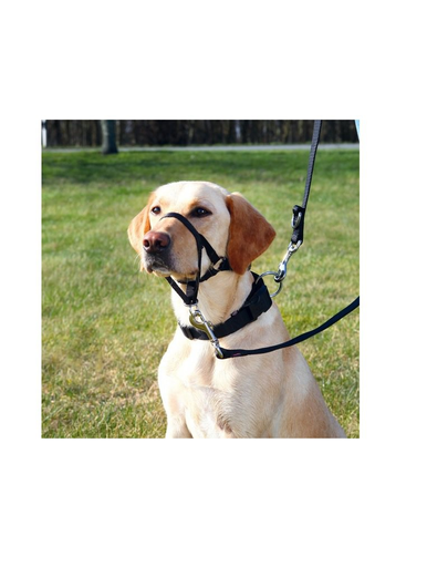 TRIXIE Top Trainer Ham L 31 cm/ 50-57 cm