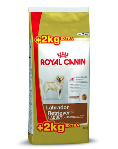 ROYAL CANIN Labrador Retriever adult 12 kg + 2 kg