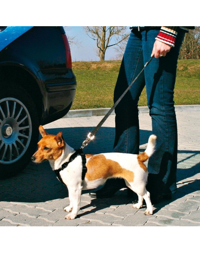 TRIXIE Lesă scurtă pentru prindere în mașină XS-S 30-45 cm