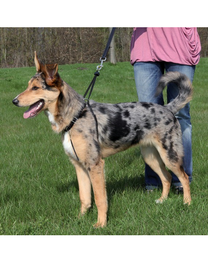 TRIXIE Ham pentru câini "EASY WALK" S 22-30cm