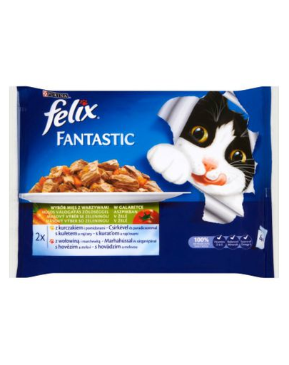 FELIX Fantastic Feast ocean în aspic 4x100 g: somon, flatfish
