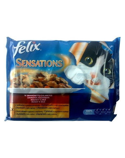 FELIX Sensations Sauce Surprise 4x100 g: curcan miel