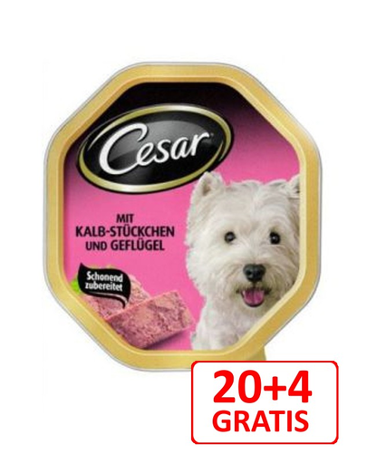 CESAR cu vițel și pasăre 150 g x 20 + 4