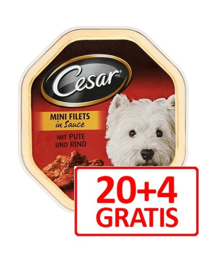 CESAR cu curcan și vită în sos 150 g x 24
