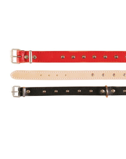 TRIXIE Zgardă Basic Studs XS 21–25 cm/12 mm