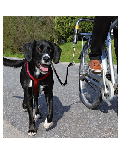 TRIXIE Suport pentru scaunul de bicicletă