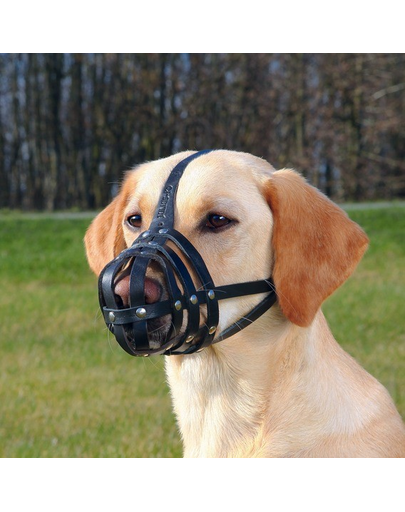 TRIXIE Botniță din piele Julius-K9 S-M