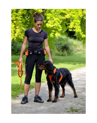 ZOLUX Ham pentru alergat / jogging Canisport XL portocaliu