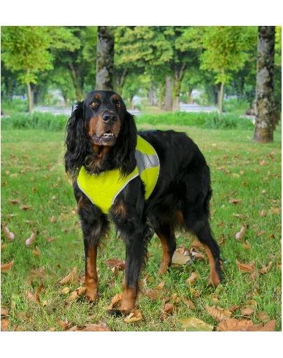 ZOLUX Vestă reflectorizantă Canisport XL verde