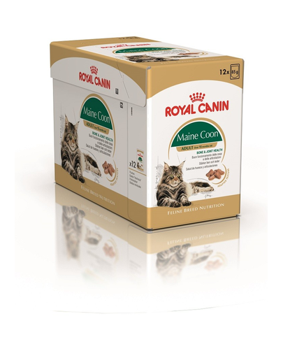 Royal Canin Maine Coon Adult hrana umeda pisica, 12 x 85 g