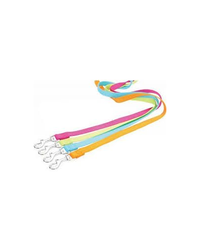 ZOLUX Lesă nailon XL 40 mm culoare turcoaz