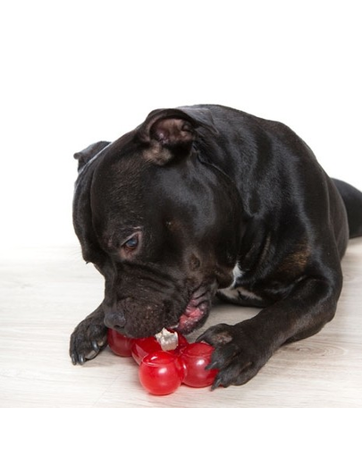 COMFY Jucărie Strong Dog Bone 16,5cm