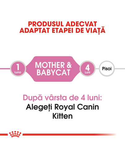 Royal Canin  Mother & BabyCat hrana uscata pisica mama si puii pana la 4 luni, 4 kg