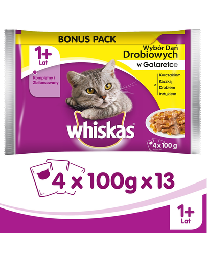 WHISKAS Pachet plicuri arome tradiționale în aspic 52 x 100 g