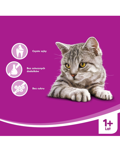 WHISKAS Dentabits 40 g
