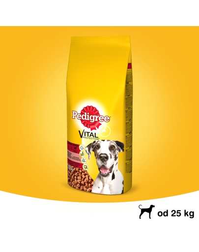 PEDIGREE Vital Protection Adult Large hrana uscata caini adulti de talie mare, cu vita 15 kg