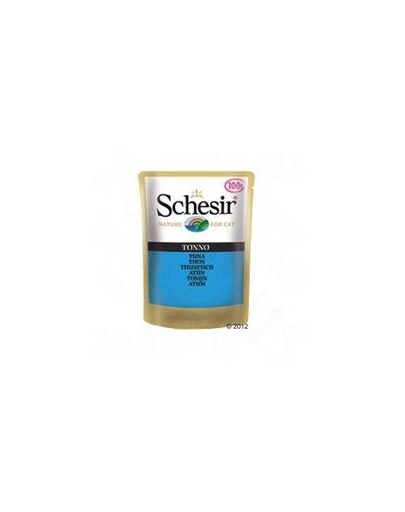 SCHESIR Ton 100 g