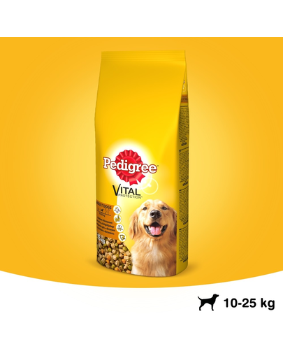 PEDIGREE Vital Protection Adult hrana uscata caini adulti de talie medie, cu pasare si legume 15 kg
