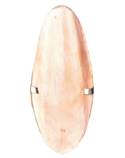 Trixie os de sepie mare cu suport 16cm