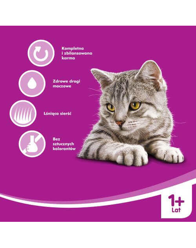 WHISKAS Creamy soup cu vită 85 g