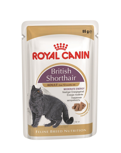 ROYAL CANIN Multipack British Shorthair 12 x 85 g