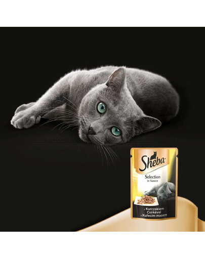 SHEBA Cusine cu pui în sos 85 g x12