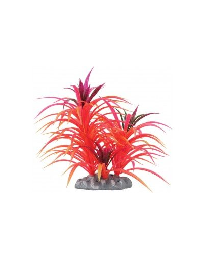 ZOLUX Plantă decorativă "Fireworks" 17 cm model 1