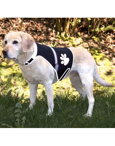 TRIXIE Vestă reflectorizantă Flash USB M 42–62 cm