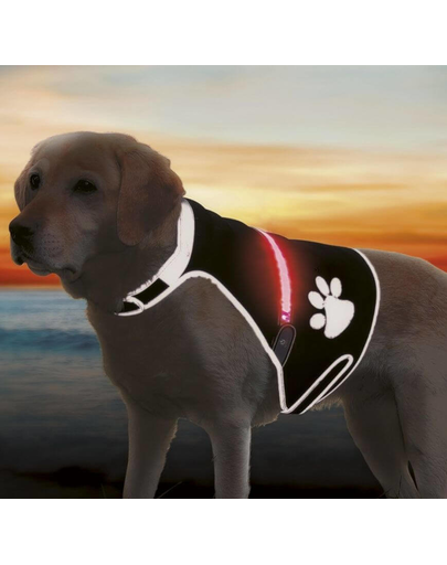 TRIXIE Vestă reflectorizantă Flash USB M 42–62 cm