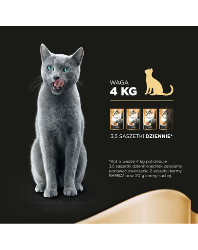 SHEBA Delikato curcan în aspic 85 g x12