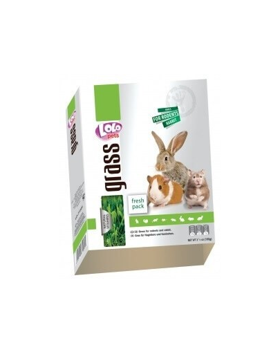LOLO PETS Iarbă pentru rozătoare - în cutie 100 g