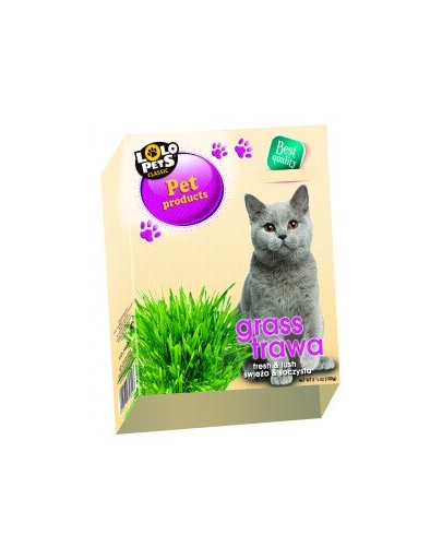LOLO PETS Iarba mâței în container