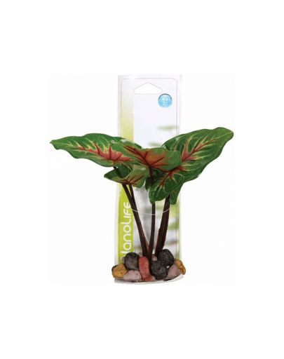 ZOLUX Plantă decorativă pe pietre 22 cm model 1