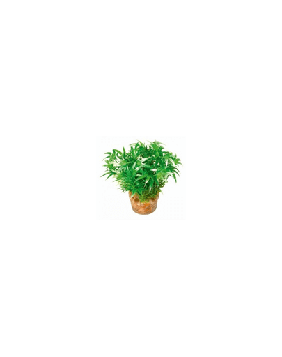 ZOLUX Plantă mică cu suport nr 1