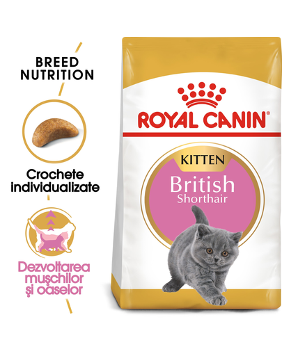 Royal Canin British Shorthair Kitten hrana uscata pisica junior, 2 kg