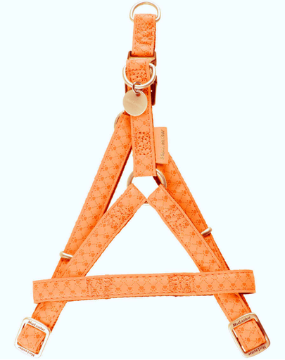 ZOLUX Ham ajustabil Mac din piele 20 mm culoare portocaliu