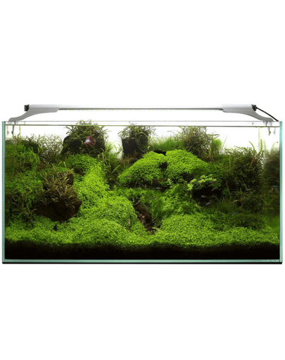 AQUAEL Leddy Slim 10W Sunny 50-70 cm