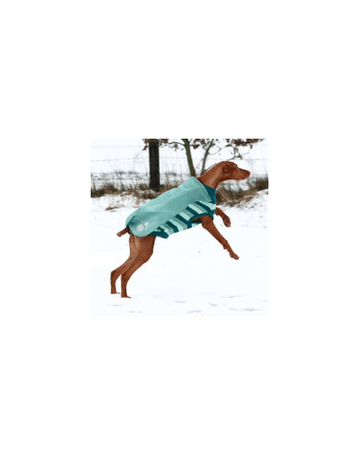 TRIXIE Pulover Burnaby s: 40 cm albastru petrol / mentă