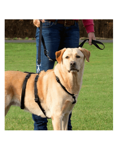 TRIXIE Ham Stay L–XL: 75–100 cm/25 mm