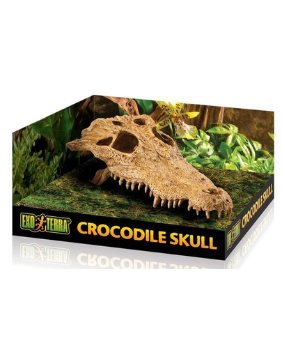 EXO TERRA Ascunzătoare craniu crocodil