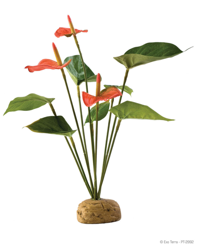 EXO TERRA Plantă artificială Antharium Bush