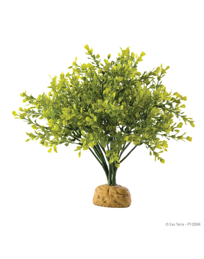 EXO TERRA Plantă artificială Boxwood Bush