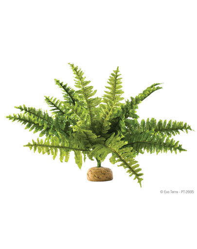 EXO TERRA Plantă artificială ferigă Boston Fern M
