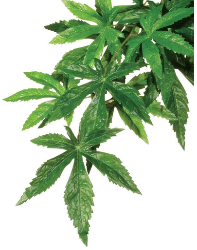 EXO TERRA Plantă artificială Silk Abutilon L