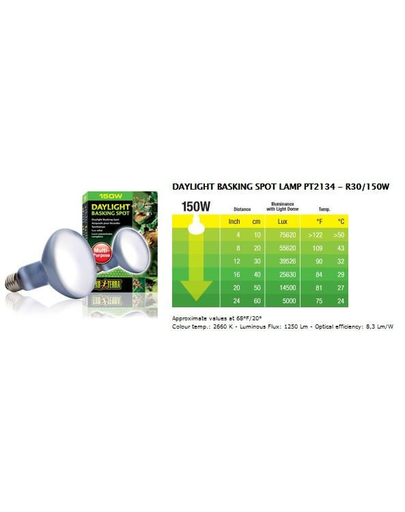 EXO TERRA Bec Day Glo Basking Spot 150W