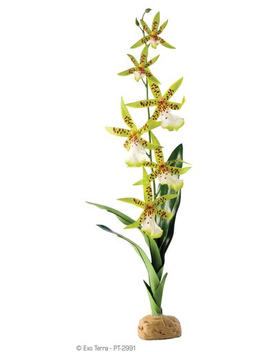 EXO TERRA Plantă artificială orhidee Spider Orchid
