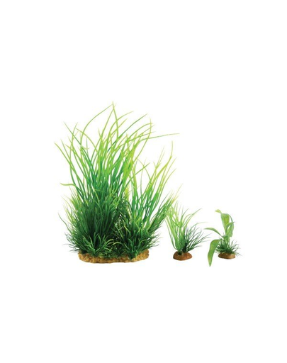 ZOLUX Plantă decorativă Plantkit Wiha model 1