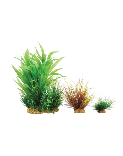 ZOLUX Plantă decorativă Plantkit Wiha model 2