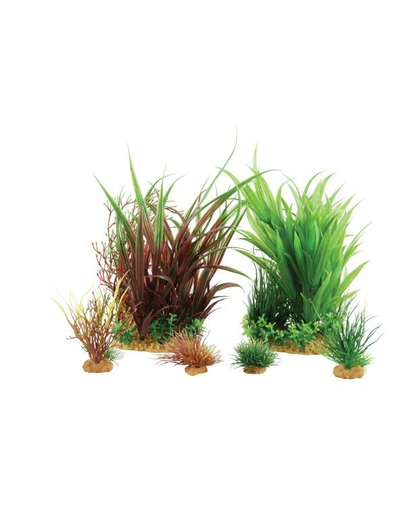 ZOLUX Plantă decorativă Plantkit Jalaya model 3