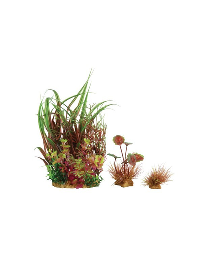 ZOLUX Plantă decorativă Plantkit Wiha model 3